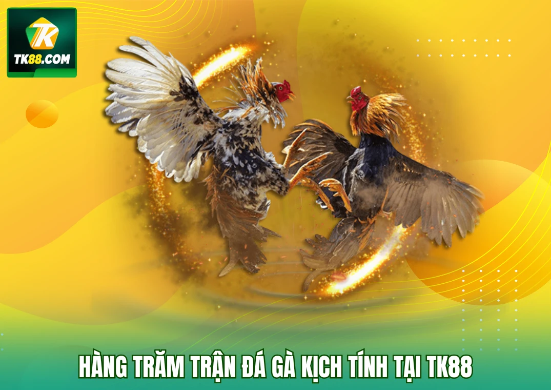 Đá gà TK88